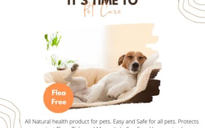 Why Flea and Tick Protection Is a Year-Round Job